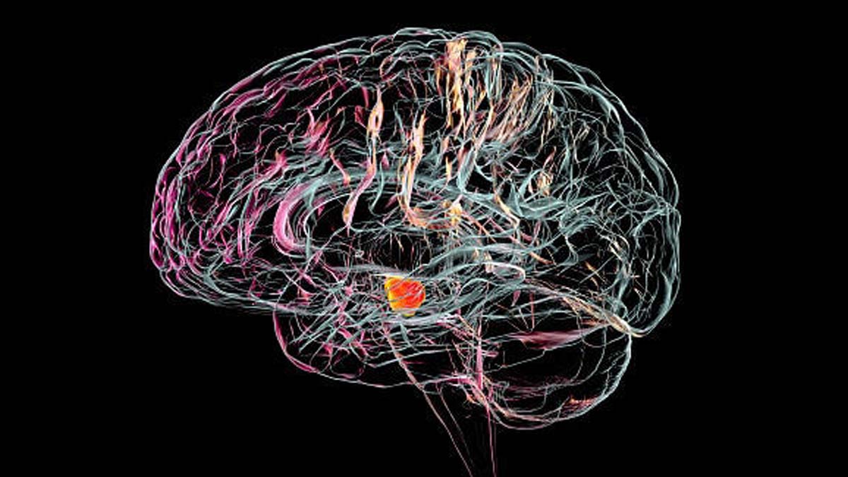 Developing Anxiety After Age 50 Linked to Parkinson’s Disease: Research
