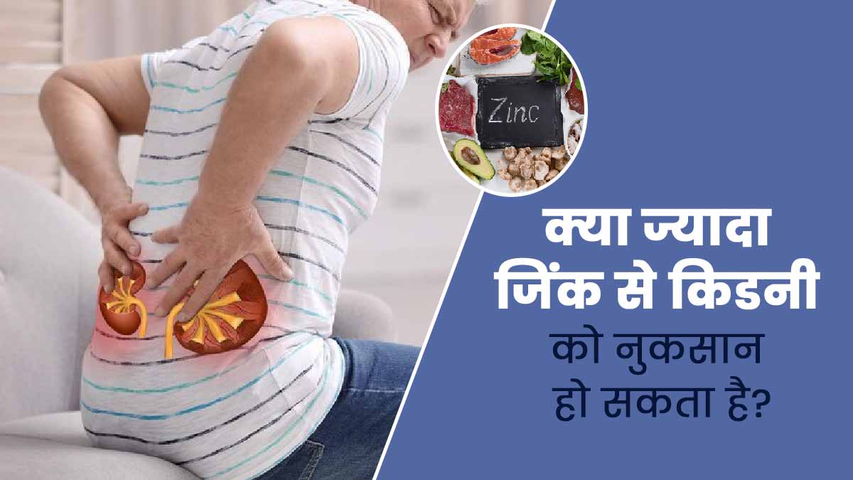 क्या वाकई ज्यादा जिंक के सेवन से किडनी को हो सकता है नुकसान? जानें डॉक्टर से