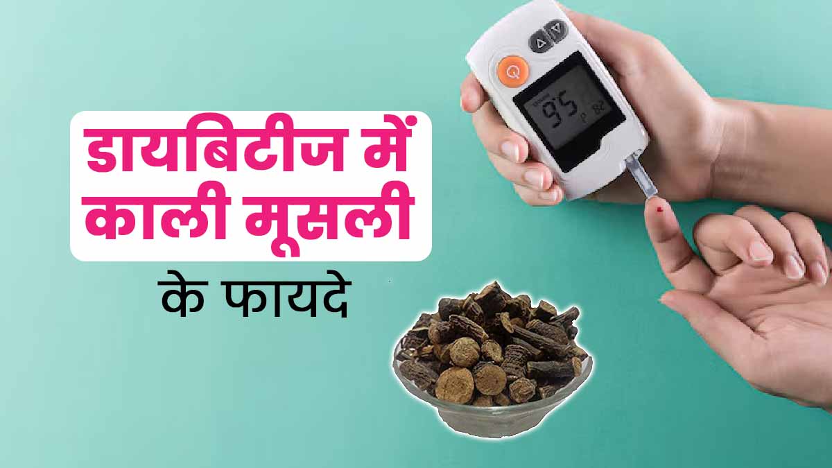 डायबिटीज के मरीज ऐसे करें काली मूसली का सेवन, तेजी से कम होगा शुगर