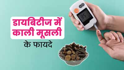 डायबिटीज के मरीज ऐसे करें काली मूसली का सेवन, तेजी से कम होगा शुगर