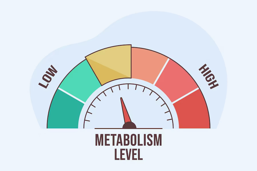 metabolism