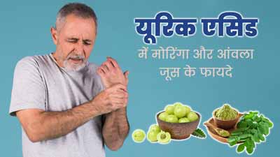 हाई यूरिक एसिड को कम करने के लिए पिएं मोरिंगा और आंवला जूस, मिलेंगे जबरदस्त फायदे