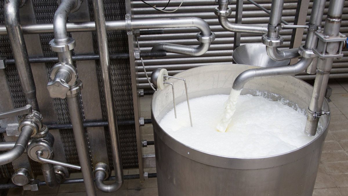 OMHHyperLocal: From Pesticides, Hormones To Heavy Metals, The Alarming Truth About Adulteration in Indian Milk