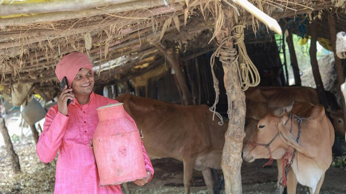 OMHHyperLocal: From Pesticides, Hormones To Heavy Metals, The Alarming Truth About Adulteration in Indian Milk