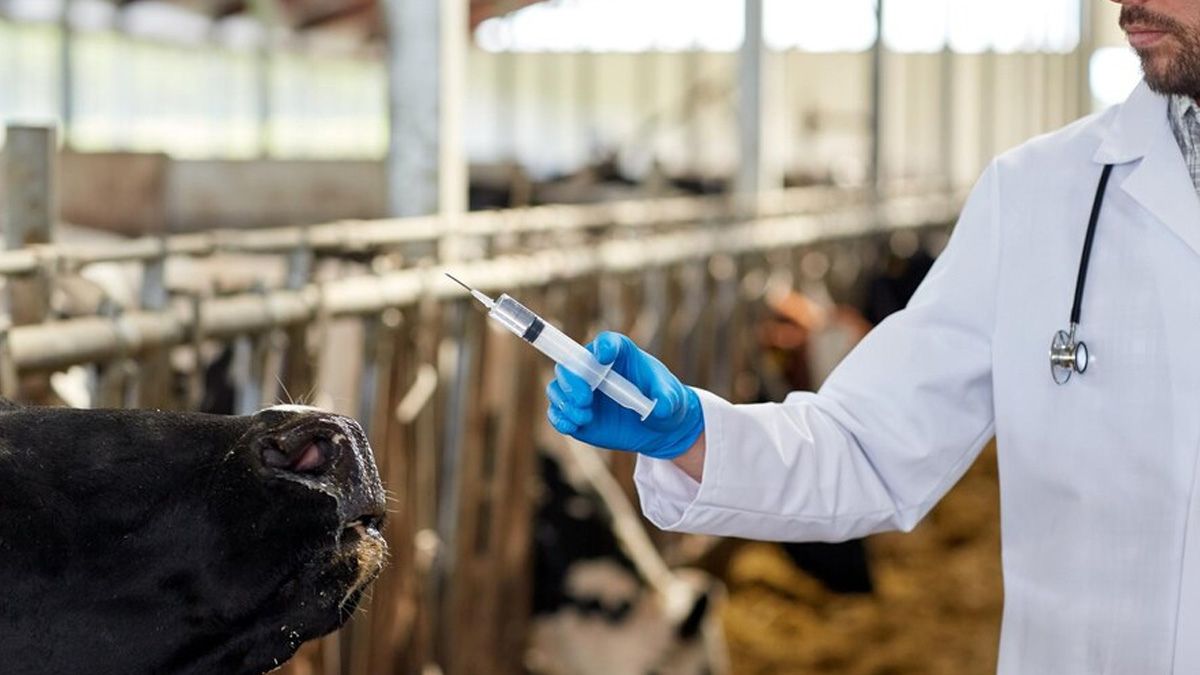 OMHHyperLocal: From Pesticides, Hormones To Heavy Metals, The Alarming Truth About Adulteration in Indian Milk