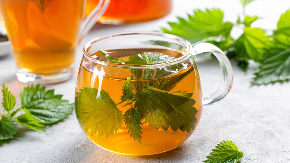 Nettle Tea For Health: Here's Why You Should Consume This Tea Instead Of The Regular One