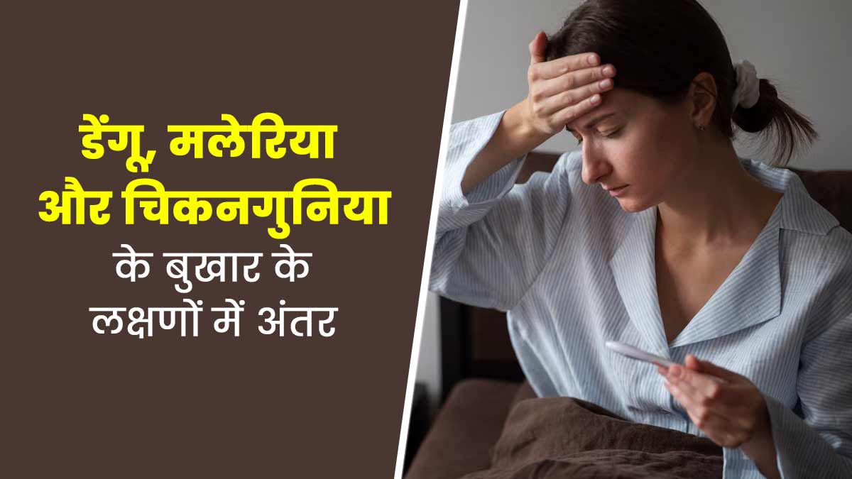 डेंगू, मलेरिया और चिकनगुनिया बुखार के लक्षणों में क्या अंतर होता है? एक्सपर्ट से जानें