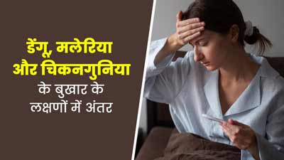 डेंगू, मलेरिया और चिकनगुनिया बुखार के लक्षणों में क्या अंतर होता है? एक्सपर्ट से जानें