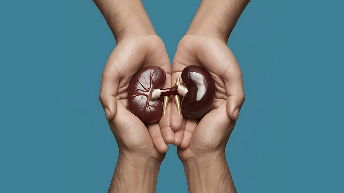 kidney-donation