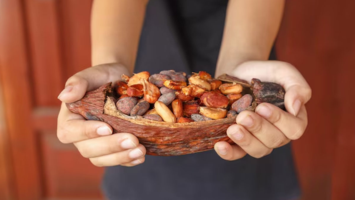 dry fruits are good for anemia 
