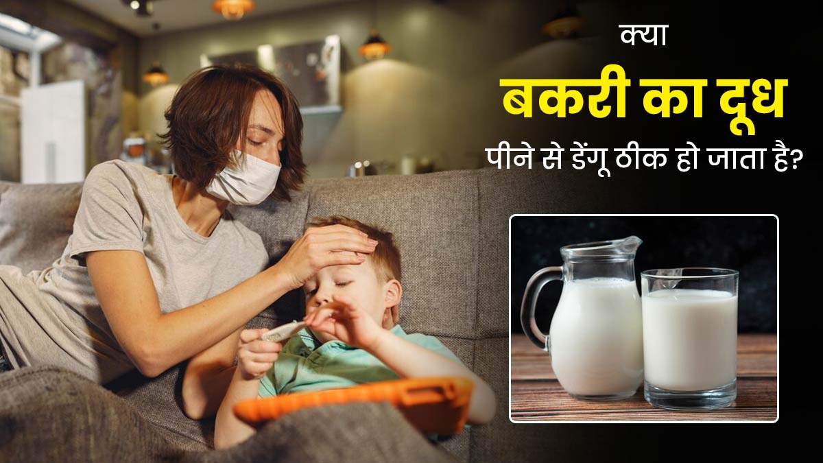 क्या बकरी का दूध पीने से डेंगू ठीक हो जाता है? डॉक्टर से जानें सच्चाई