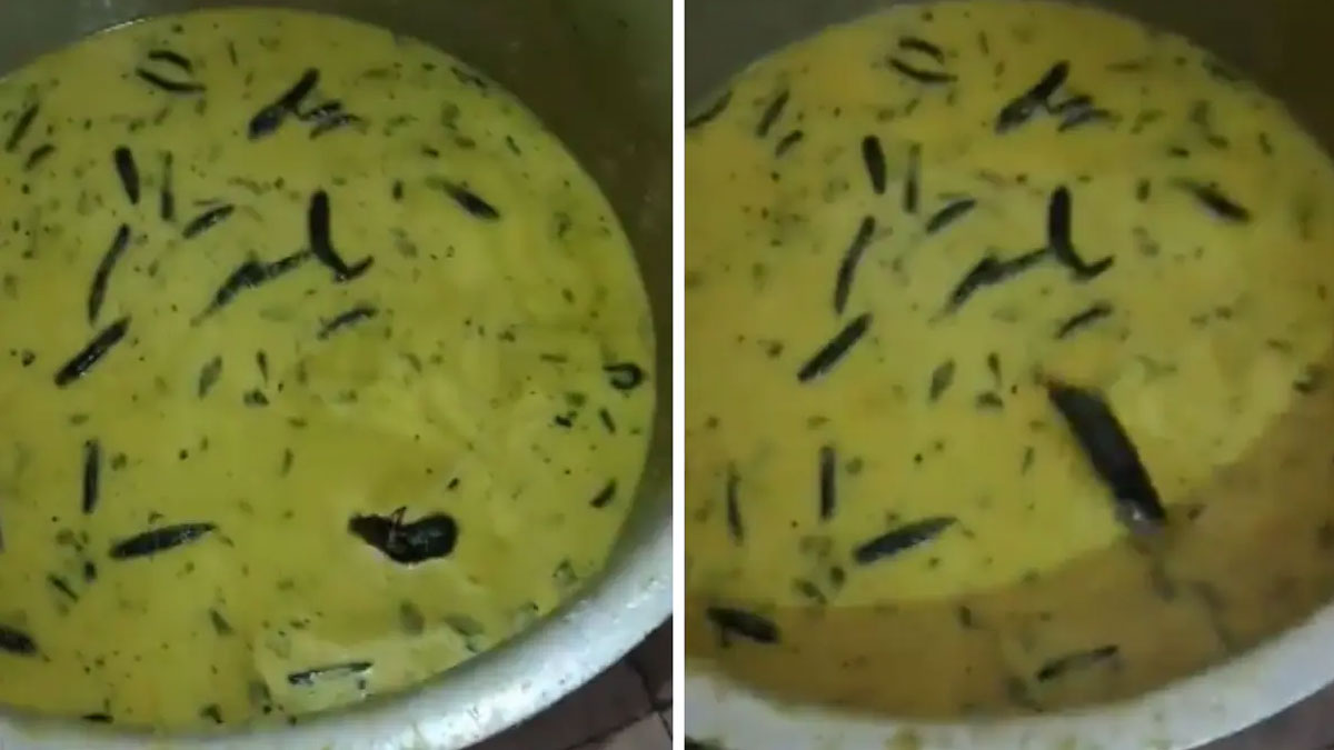 हैदराबाद कॉलेज के हॉस्टल कैंटीन में चटनी में मिला चूहा, जानें इससे होने वाली बीमारियां