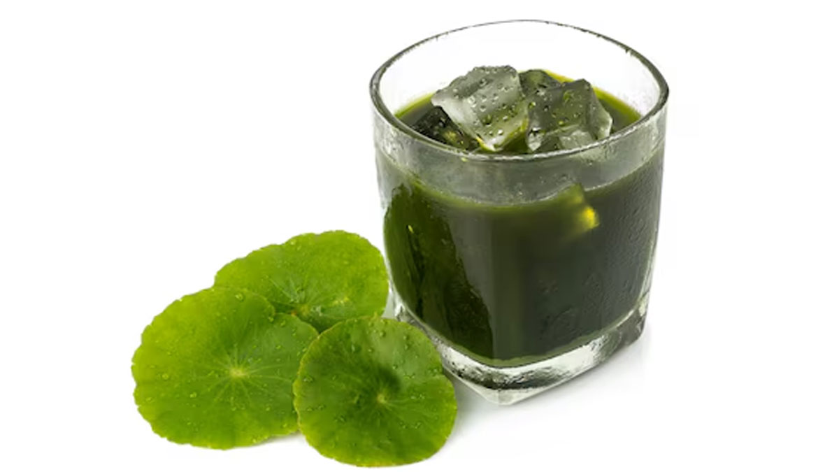 Gotu Kola