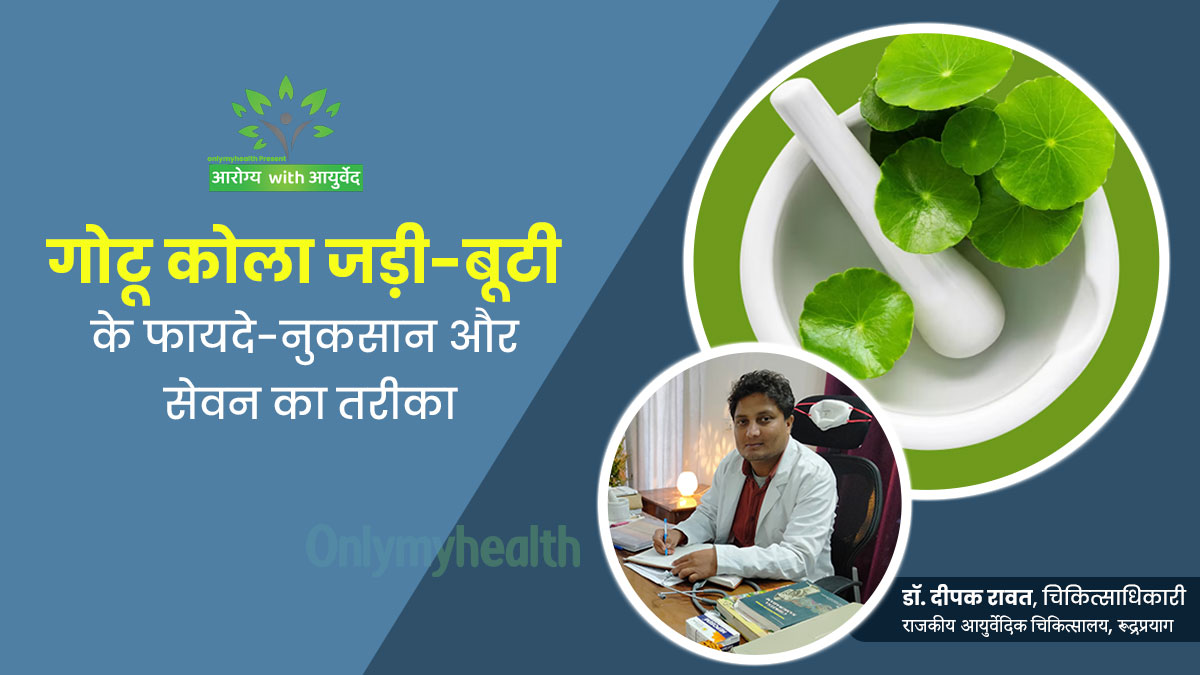Arogya with Ayurveda: सेहत के लिए फायदेमंद होता है गोटू कोला, जानें किसे नहीं करना चाहिए इस जड़ी-बूटी का सेवन 