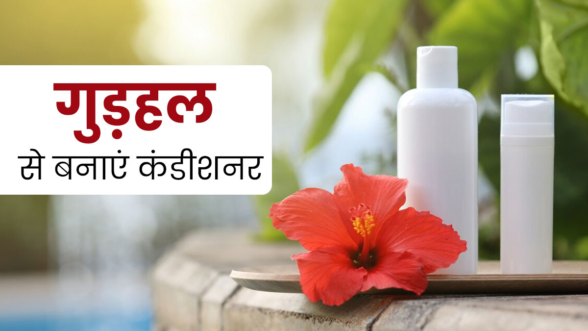 मानसून के दौरान बालों में लगाएं गुड़हल से बना कंडीशनर, जानें तरीका और फायदे
