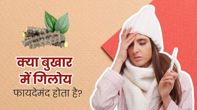 क्या बुखार में गिलोय का सेवन करना फायदेमंद होता है? जानें एक्सपर्ट की राय