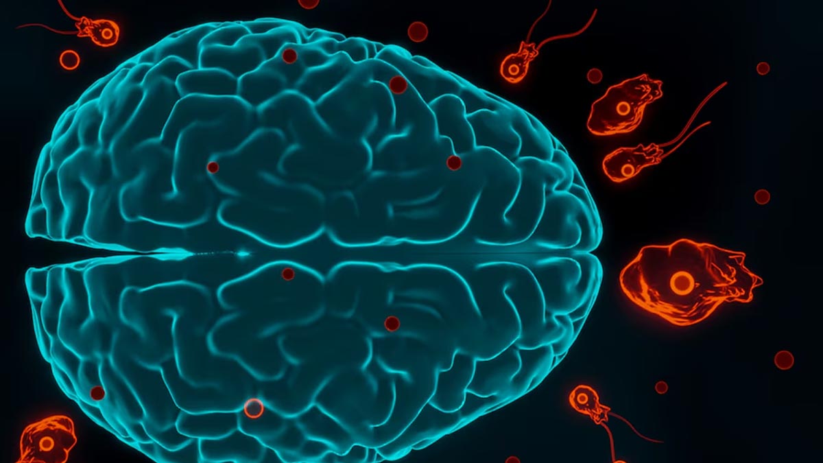 Fifth Case Of Brain-Eating Amoeba Reported In Kerala: Do's And Don'ts To Prevent The Deadly Infection