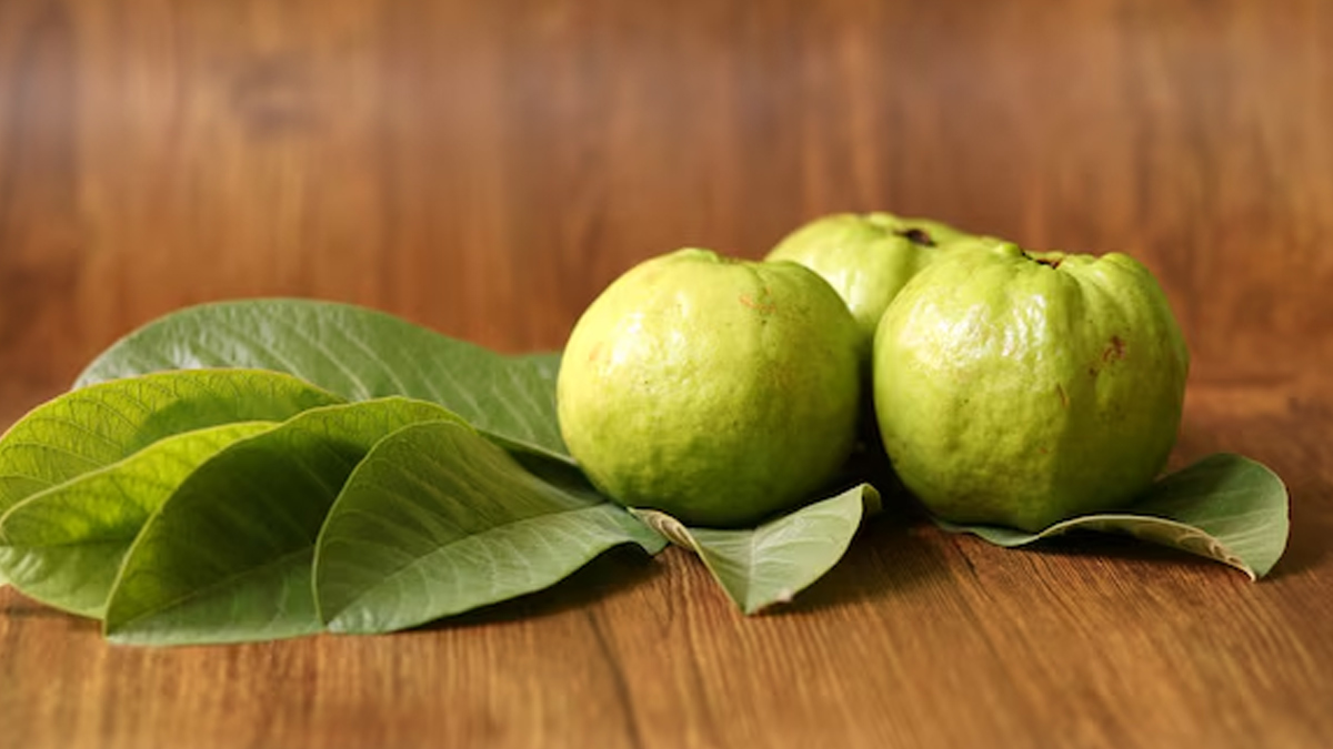 Tips To Include Guava Leaves In Your Diet To Manage Cholesterol