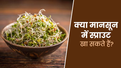 क्या मानसून में स्प्राउट्स खा सकते हैं? एक्सपर्ट से जानें इसके फायदे और नुकसान
