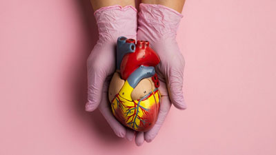 कोलेस्ट्रॉल घटाने में मदद करेगा जायफल, घी और लहसुन का मिश्रण, जानें इसे बनाने का तरीका और फायदे