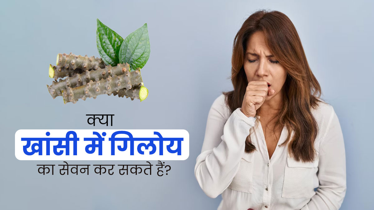 क्या खांसी होने पर गिलोय का सेवन करना फायदेमंद होता है? एक्सपर्ट से जानें