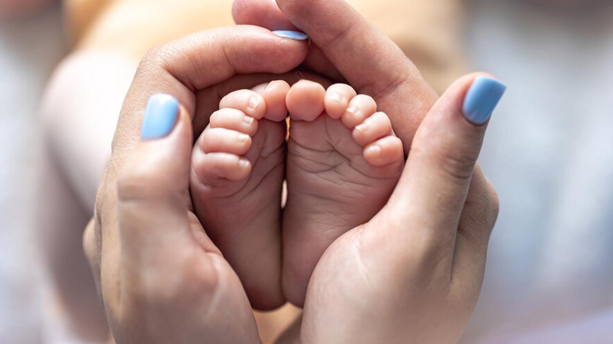 IVF Success Rates Drop 38% Due To Air Pollution, Study Reveals: Expert Explains How This Happens