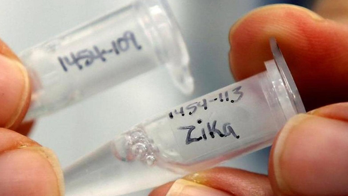 PMC To Test All Pregnant Women From Zika-Affected Areas