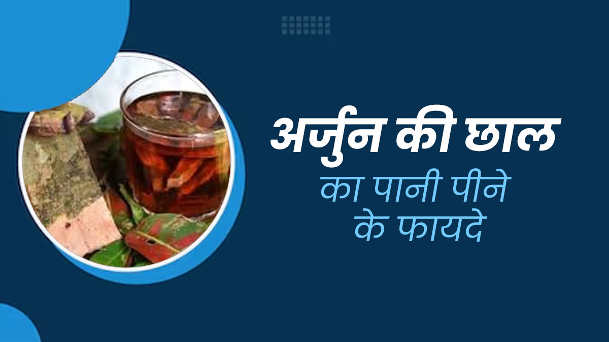 मानसून में स्वस्थ रहने के लिए पिएं अर्जुन की छाल का पानी, मिलेंगे कई जबरदस्त फायदे