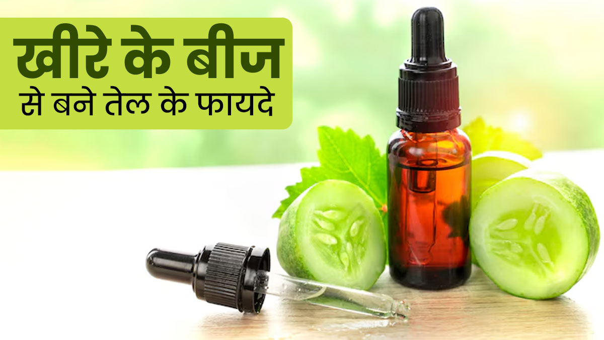 खीरा ही नहीं उसके बीजों से बनने वाला तेल भी होता है फायदेमंद, दूर होती हैं स्‍क‍िन और बालों की कई समस्‍याएं