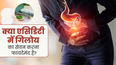 क्या गिलोय एसिडिटी की समस्या से राहत दिला सकता है? आयुर्वेदाचार्य से जानें