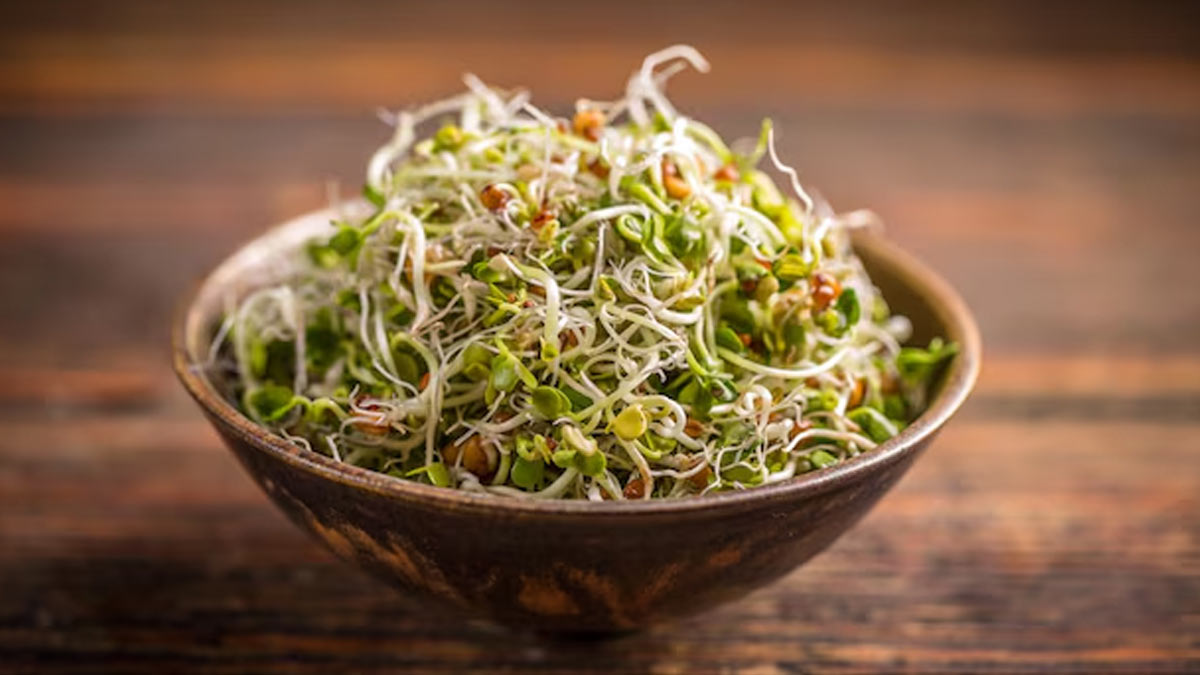 Health Benefits Of Methi Sprouts: Here's Why You Should Eat One Tablespoon Every Morning