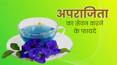 अपराजिता के सेवन से सेहत को मिलते हैं ये 6 फायदे, आयुर्वेदिक एक्सपर्ट से जानें 