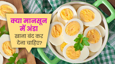 क्या मानसून में अंडा खाना बंद कर देना चाहिए? जानें एक्सपर्ट की राय