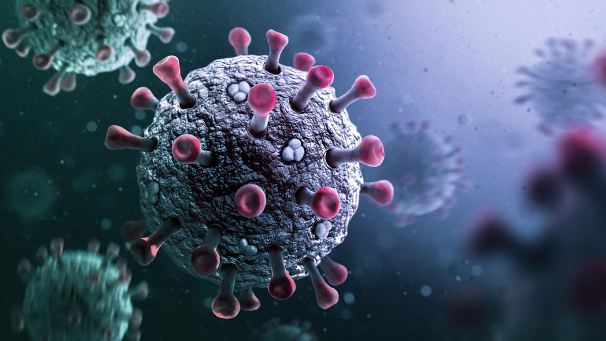 Chandipura Virus: गुजरात में 6 बच्चों की मौत का कारण बना चांदीपुरा वायरस, जानें इसके कारण और लक्षण  