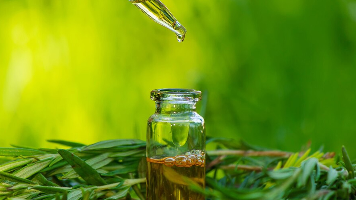 Essential Oils That Can Boost Your Ear Health And Tips to Use Them