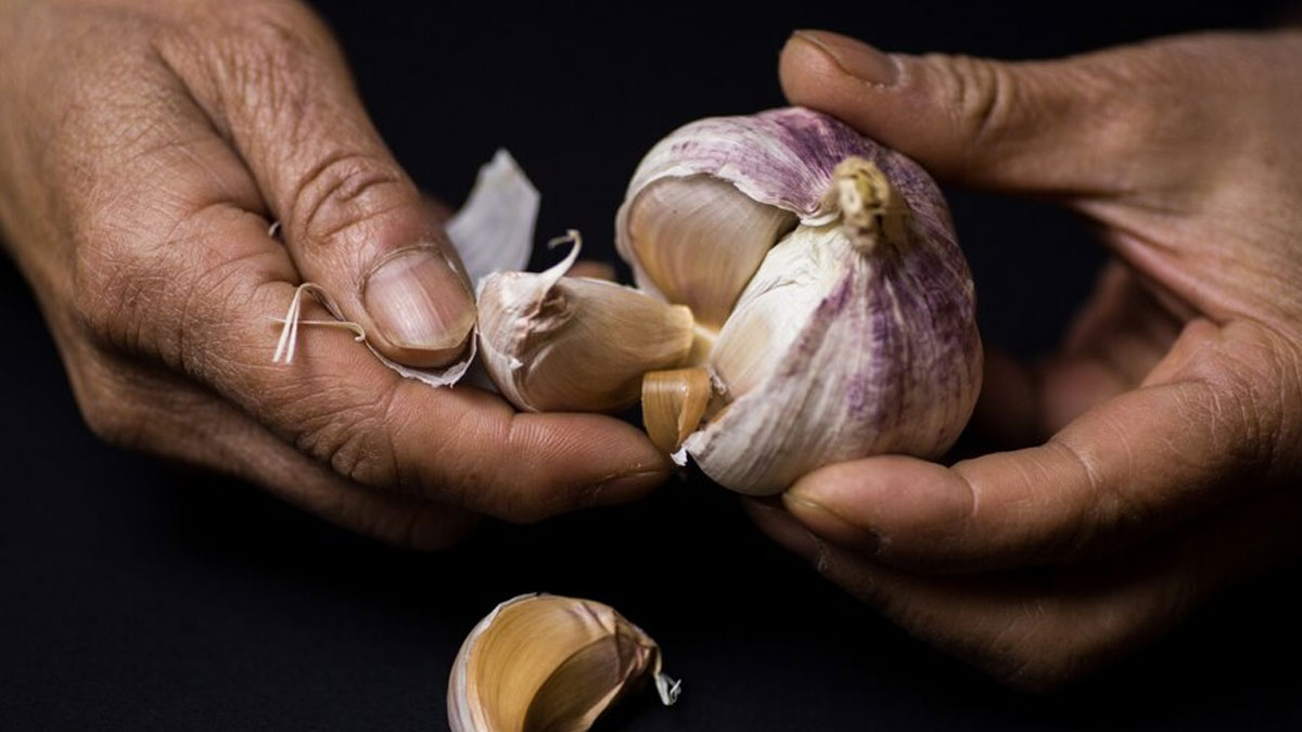 Side Effects Of Eating Garlic Clove On Empty Stomach