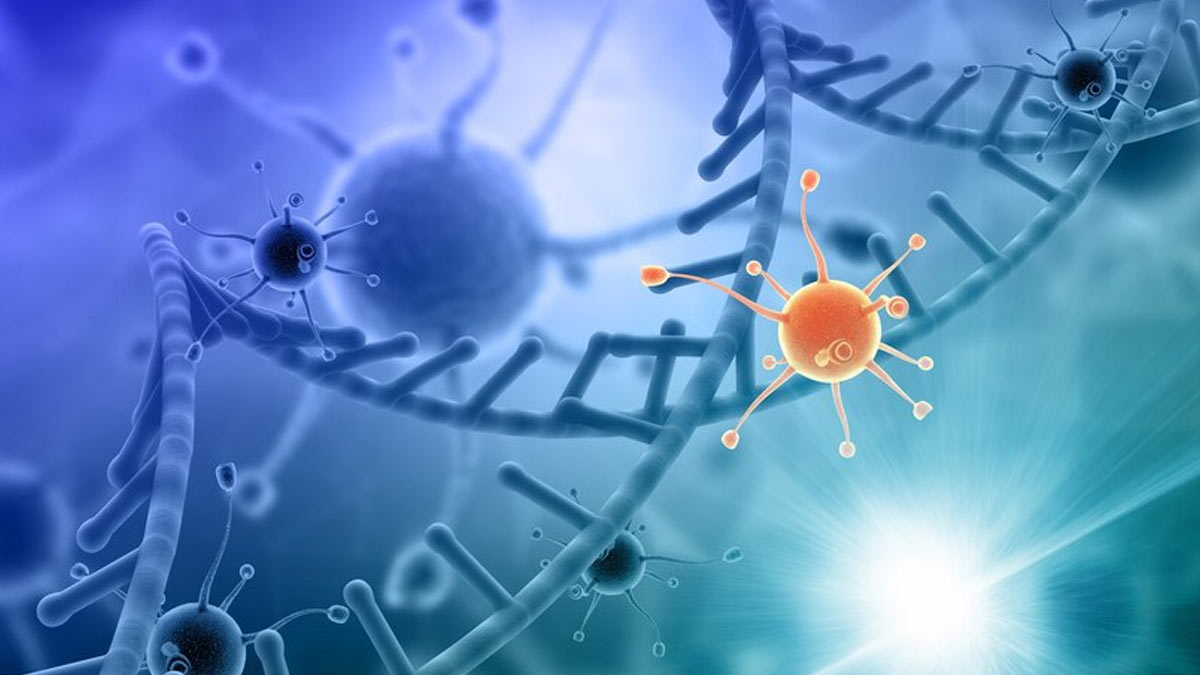 Pregnancy Complications: Why Are Chromosomal Problems In Children More Prevalent Among Late Pregnancies?
