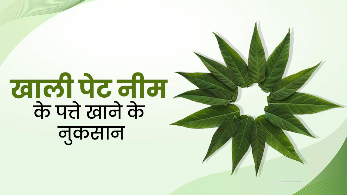 लंबे समय तक खाली पेट न करें नीम की पत्तियों का सेवन, सेहत को हो सकता है नुकसान