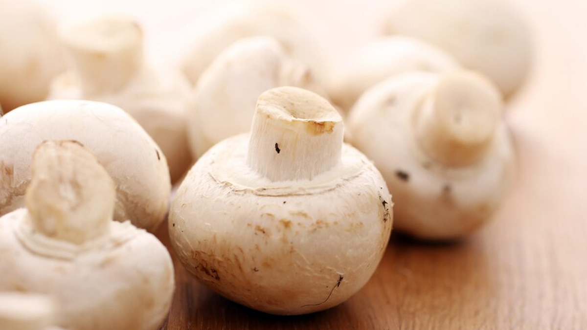 Health Benefits Of Different Types Of Mushrooms