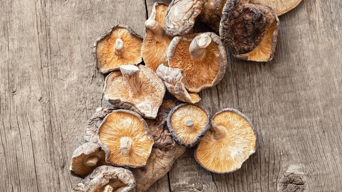 Health Benefits Of Different Types Of Mushrooms