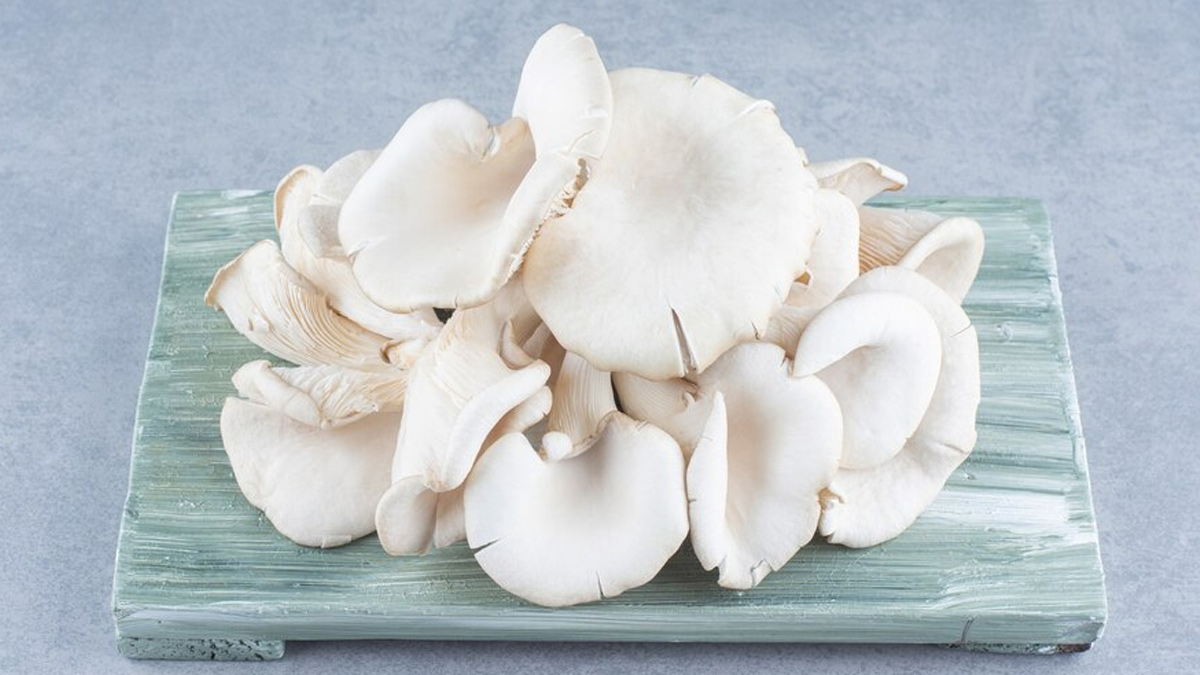 Health Benefits Of Different Types Of Mushrooms