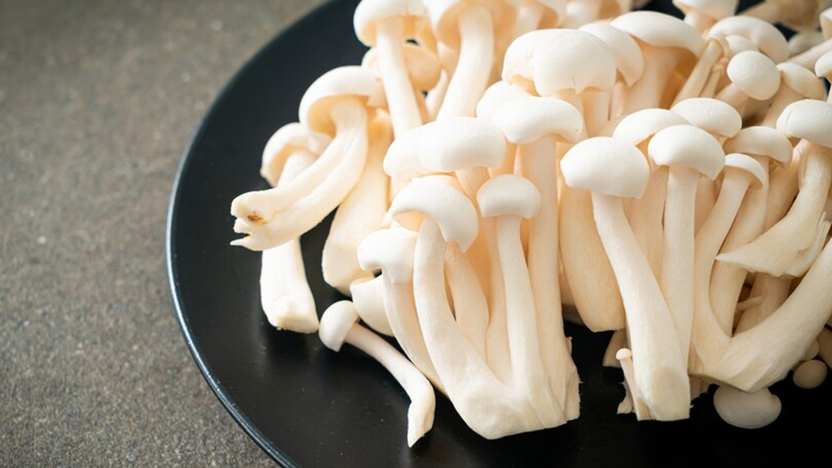 Health Benefits Of Different Types Of Mushrooms