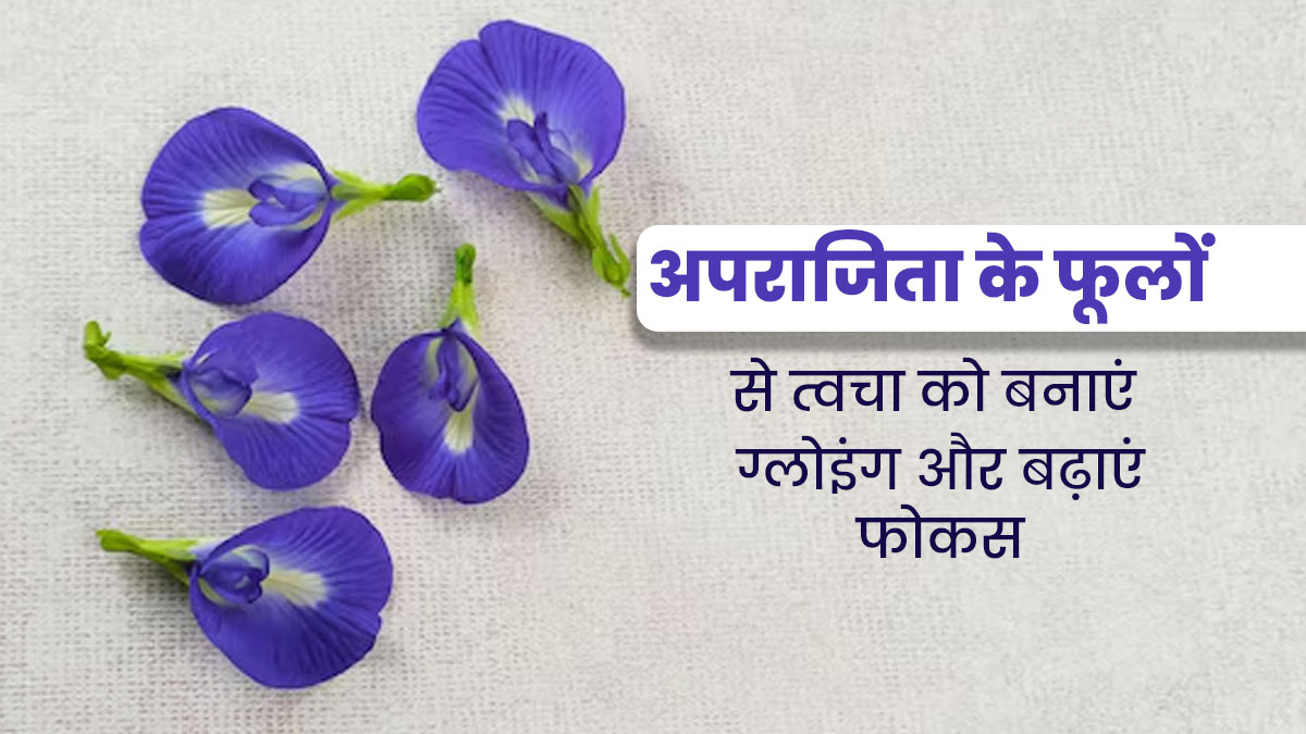 अपराजिता से त्वचा को बनाएं ग्लोइंग और खूबसूरत, आयुर्वेदाचार्य से जानें सेवन का तरीका