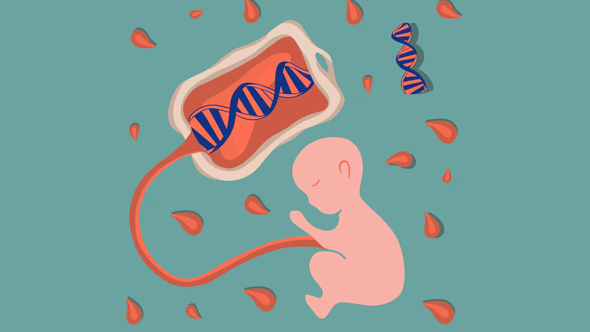 cord-blood