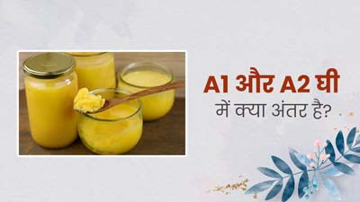 एक-दूसरे से बहुत अलग हैं A1 और A2 घी, डाइटिशियन से जानें इसके बीच अंतर