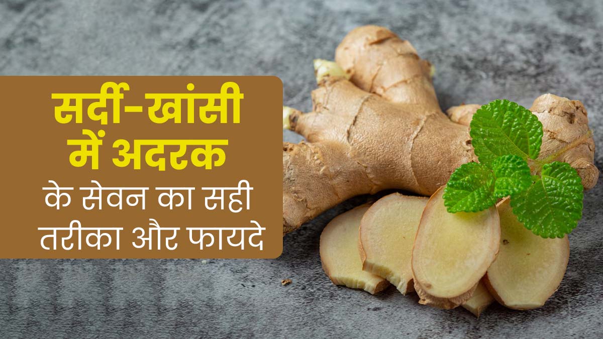 सर्दी-खांसी कम करने के लिए अदरक का सेवन करने का सही तरीका क्या है? आयुर्वेदाचार्य से जानें 