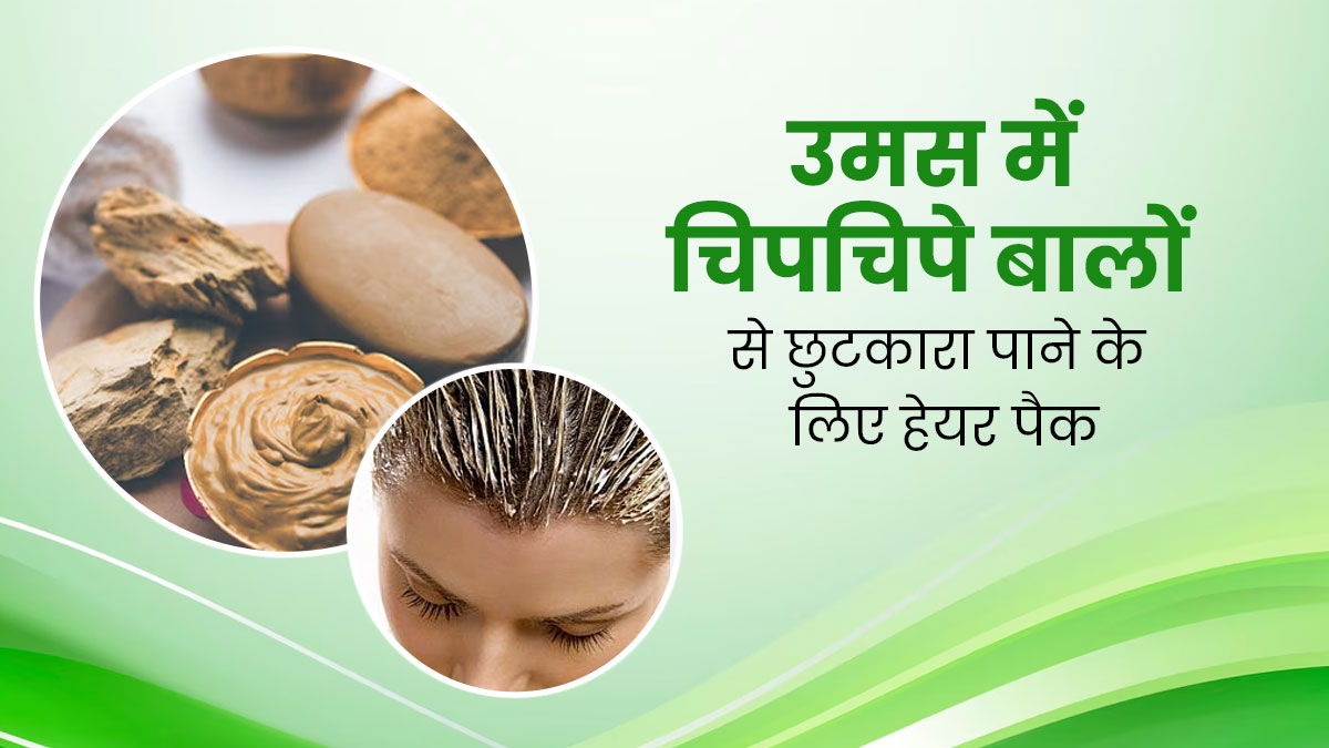 टी ट्री ऑयल और मुल्‍तानी म‍िट्टी से बनाएं हेयर पैक, उमस भरे मौसम में च‍िपच‍िपे बालों से म‍िलेगा छुटकारा 