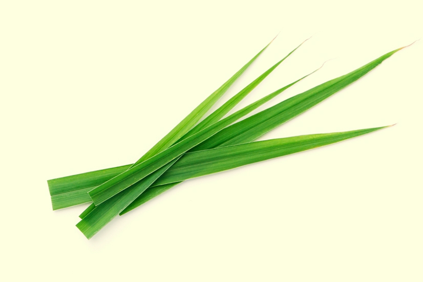 lemongrass