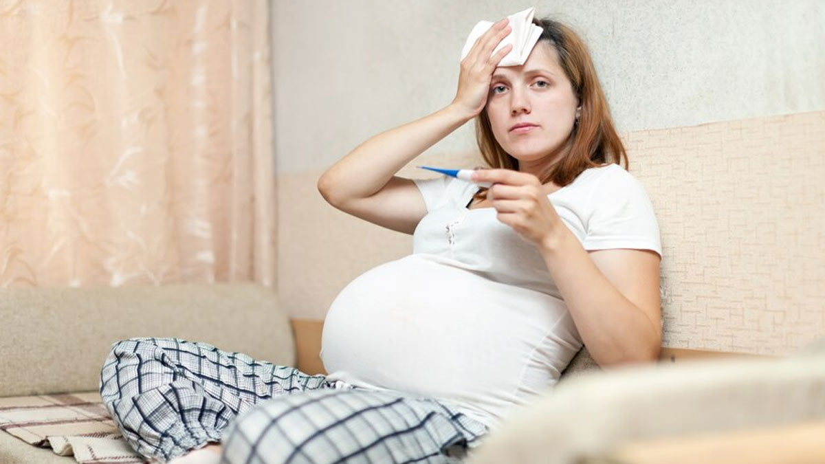 प्रेग्नेंसी में मां और गर्भस्‍थ श‍िशु के ल‍िए हान‍िकारक है डेंगू फीवर, जानें इसके 5 स्‍वास्‍थ्‍य जोख‍िम 
