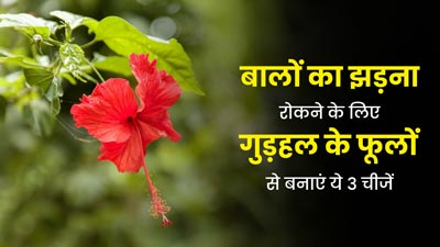 मानसून में हेयर फॉल से परेशान हैं, तो गुड़हल के फूलों का इन 3 तरीकों से करें इस्तेमाल, दूर होगी समस्या